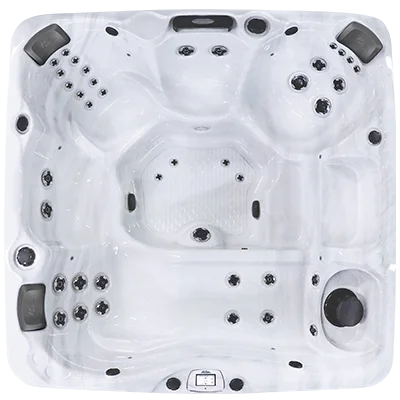 Avalon-X EC-840LX hot tubs for sale in National City