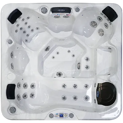 Avalon EC-849L hot tubs for sale in National City